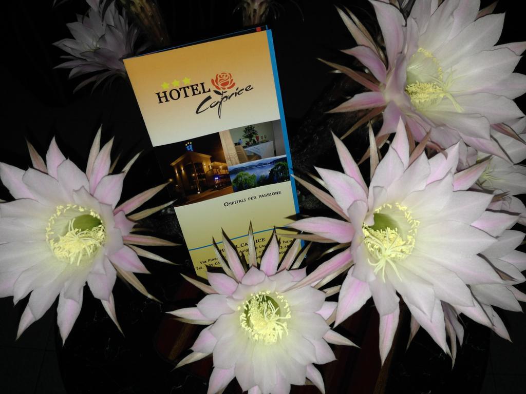 Hotel Caprice Avigliana Exterior foto